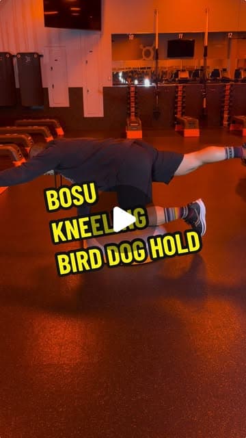 BOSU Kneeling Bird Dog Hold