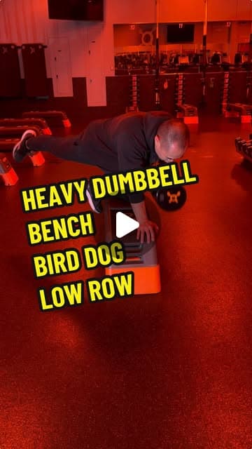 Heavy Dumbbell Bench Bird Dog Low Row