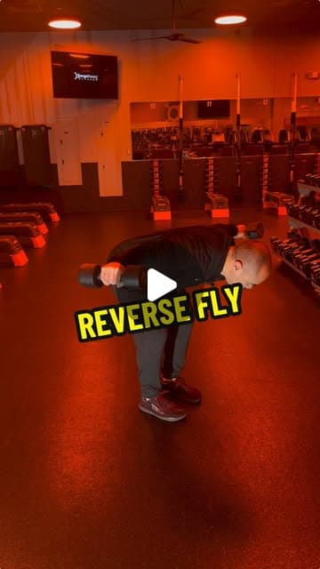 Reverse Fly