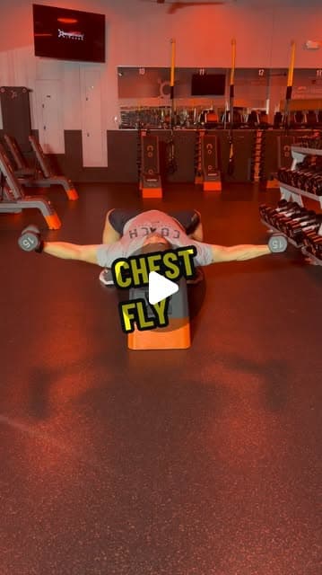 Chest Fly