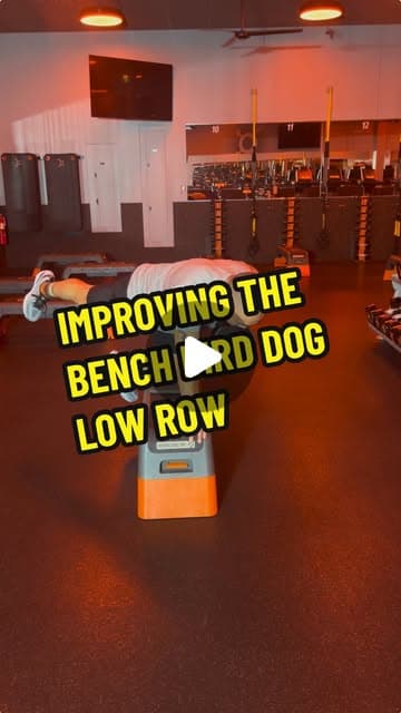 Bench Bird Dog Low Row