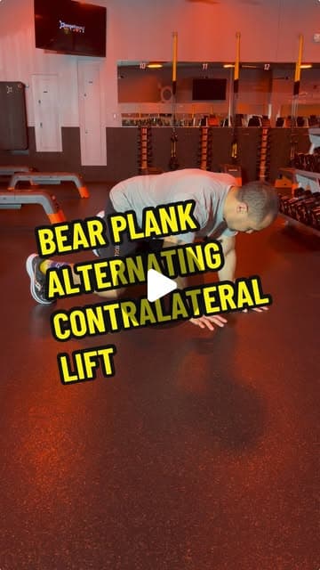 Bear Plank Alternating Contralateral Lift