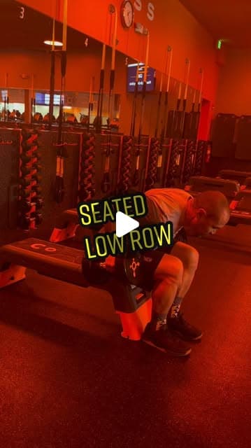 Seated low row