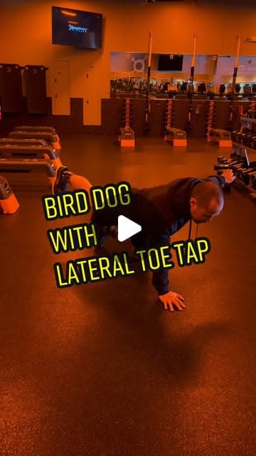 Bird dog lateral toe tap