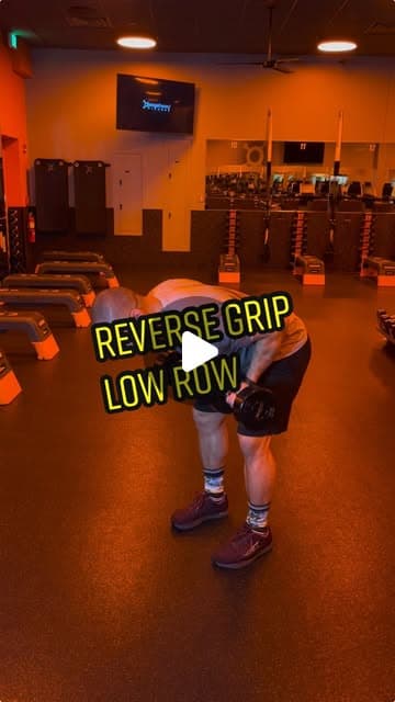 Reverse Grip Low Row