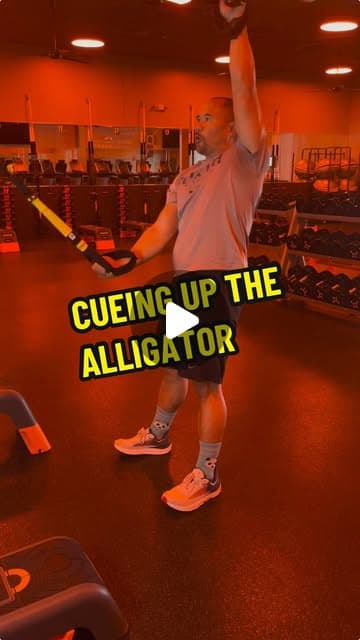 Strap alligator