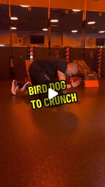Bird dog to crunch