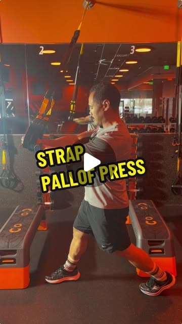 Strap Pallof Press