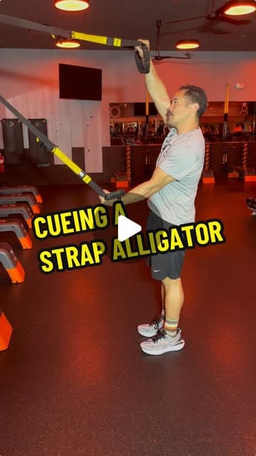 Cueing the Strap Alligator