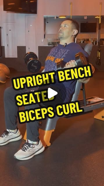 Upright Bench Seated Biceps Curl