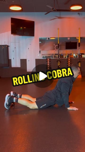 Rolling Cobra