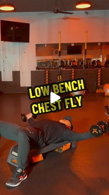 Low Bench Chest Fly