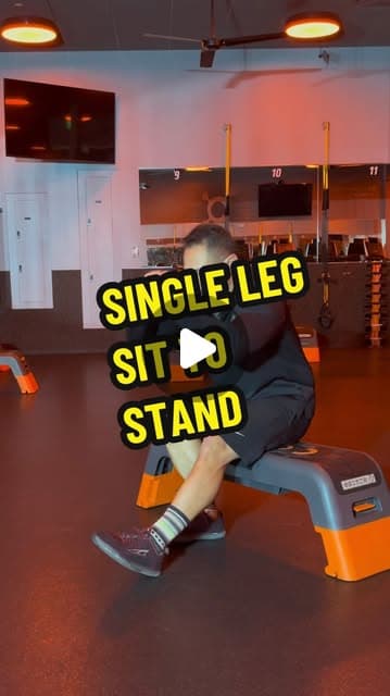 Bench Single Leg Sit to Stand