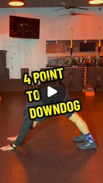 4 Point to Downdog