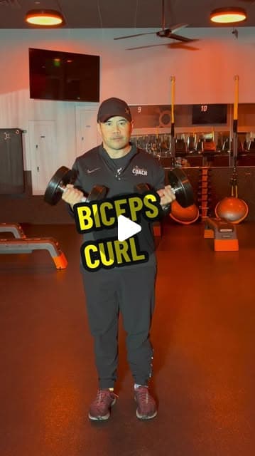 Biceps Curl