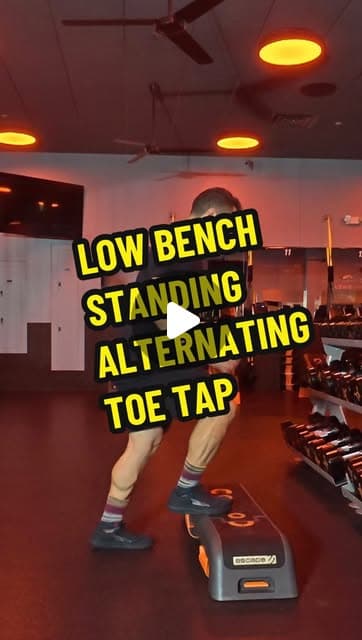 Low Bench Standing Alternating Toe Tap