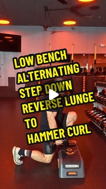 Low Bench Alternating Step Down Reverse Lunge to Hammer Curl