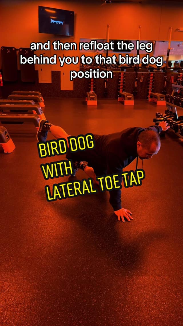 Bird dog lateral toe tap TikTok preview