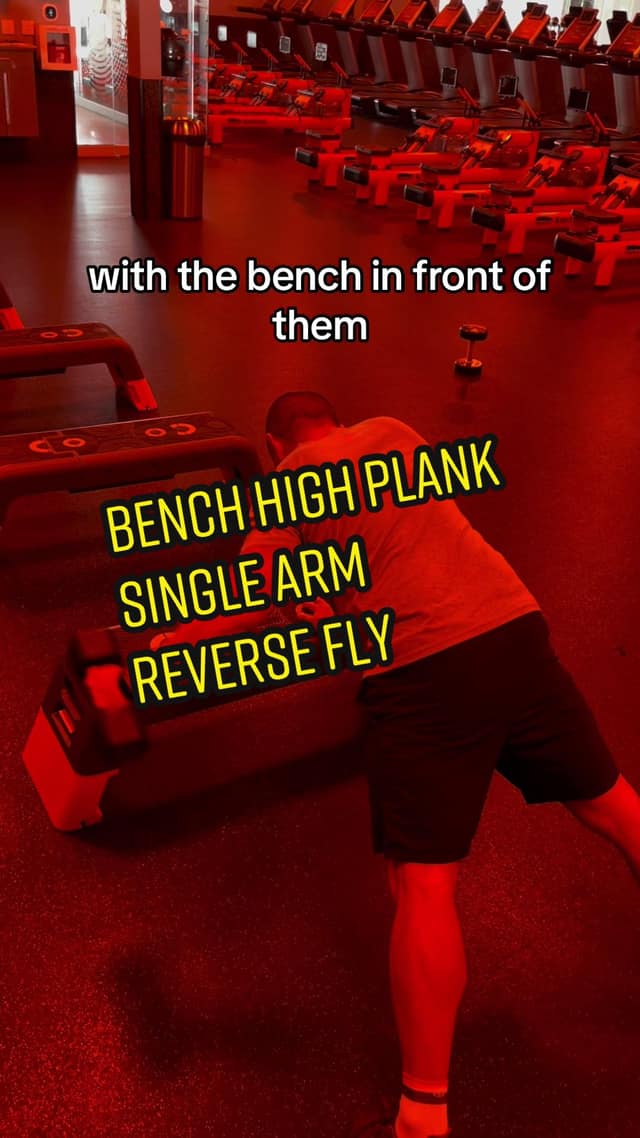Bench High Plank Single Arm Reverse Fly TikTok preview