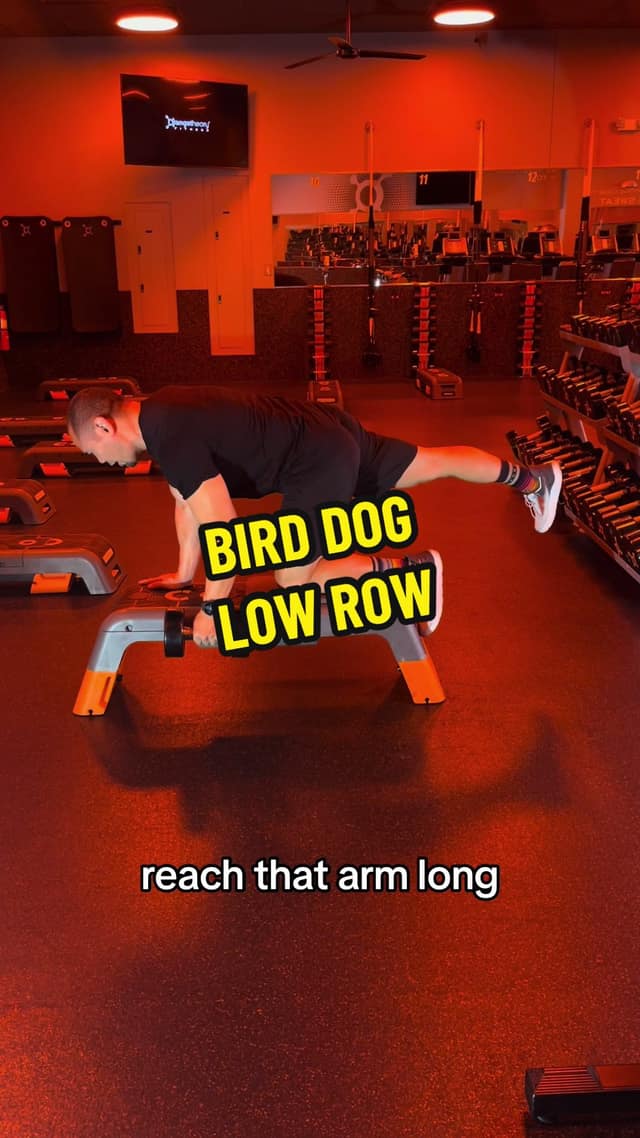 Bench Bird Dog Low Row TikTok preview