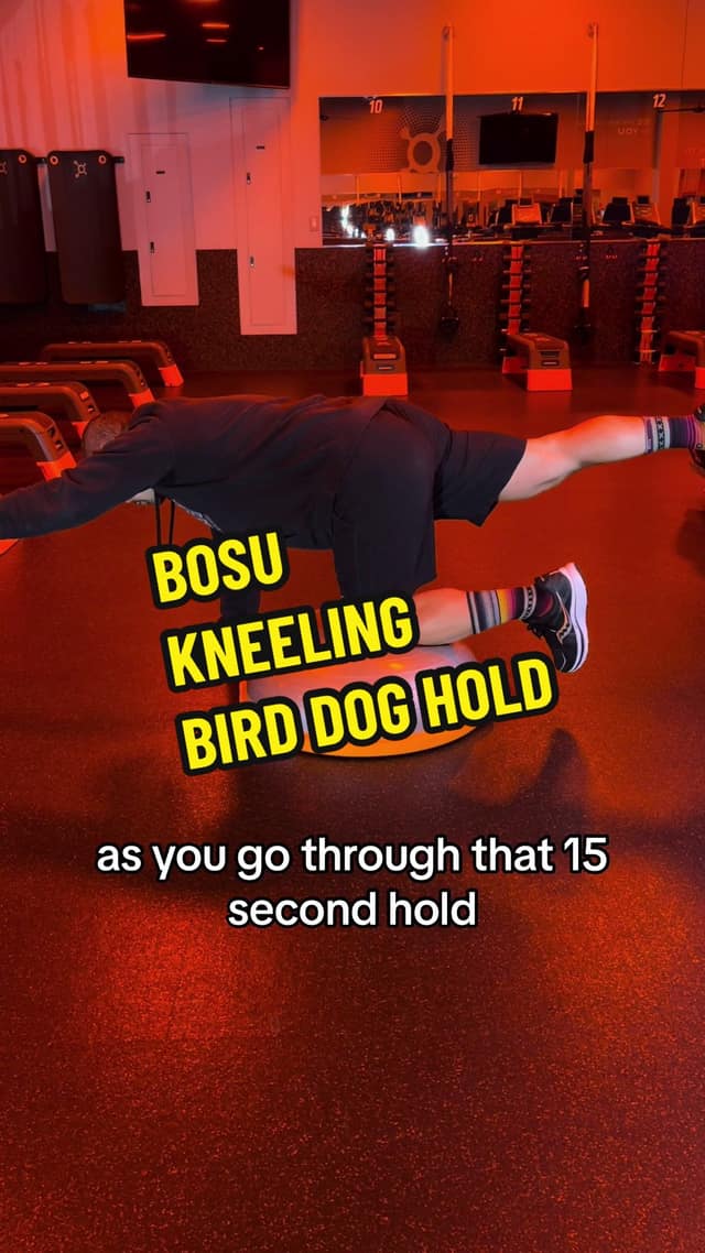 BOSU Kneeling Bird Dog Hold TikTok preview