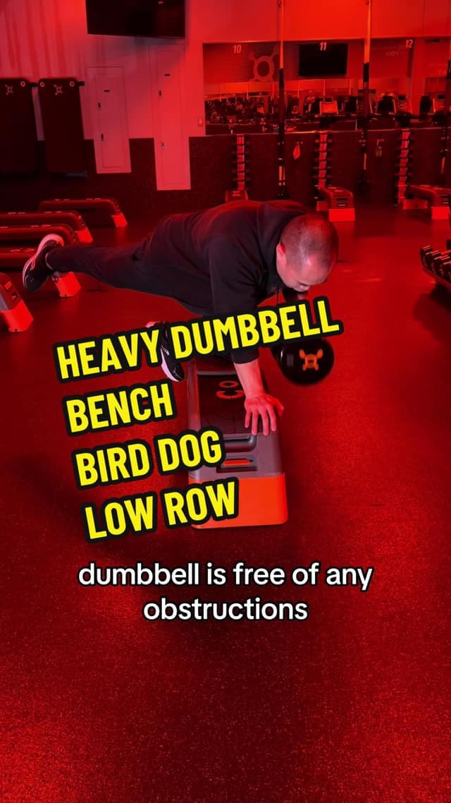 Heavy Dumbbell Bench Bird Dog Low Row TikTok preview