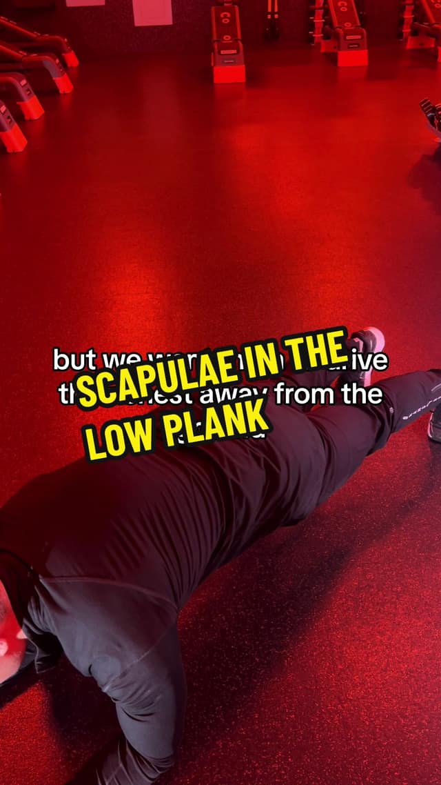 Low-Plank Scapular Position TikTok preview
