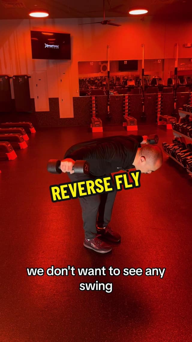 Reverse Fly TikTok preview