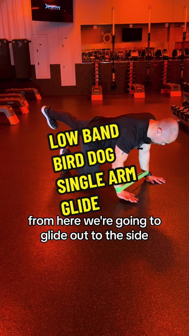 Low Band Bird Dog Single Arm Glide TikTok preview
