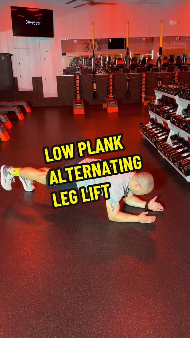 Low Plank Alternating Leg Lift TikTok preview