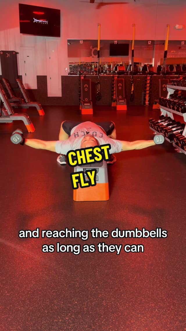 Chest Fly TikTok preview