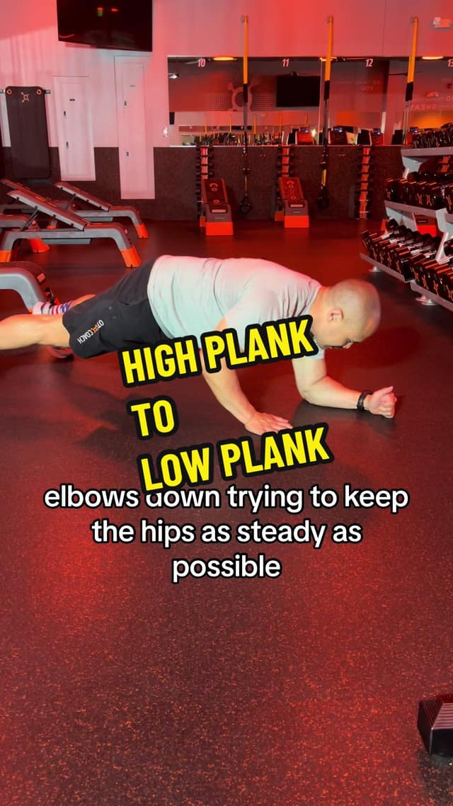 High Plank to Low Plank TikTok preview