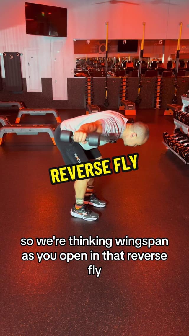 Reverse Fly TikTok preview