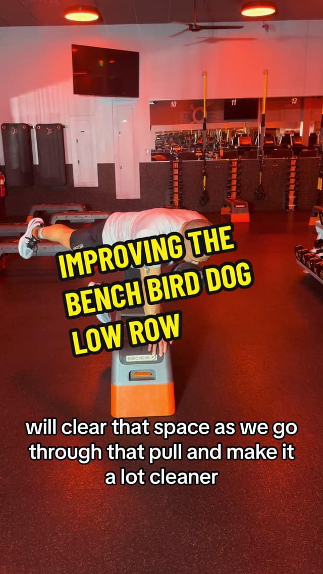 Improving the Bench Bird-Dog Low Row TikTok preview