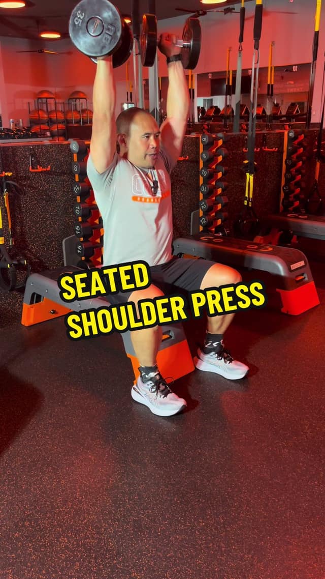 Seated Shoulder Press TikTok preview