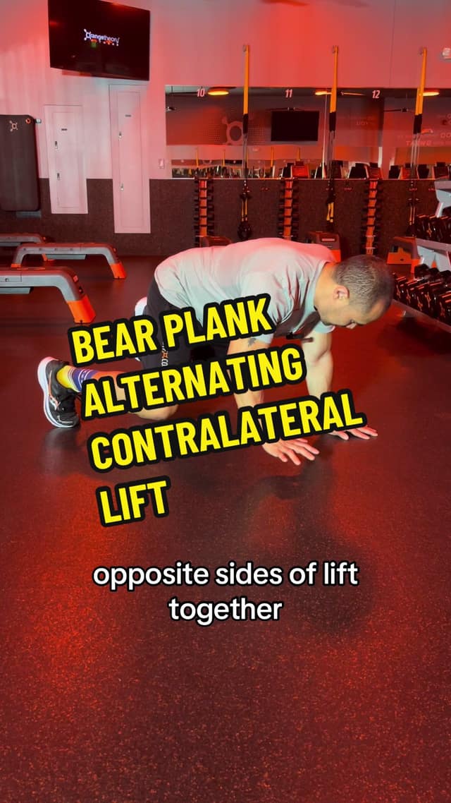 Bear Plank Alternating Contralateral Lift TikTok preview