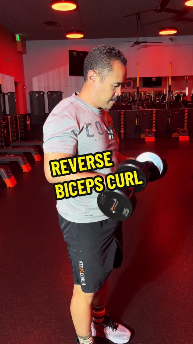 Reverse Biceps Curl TikTok preview