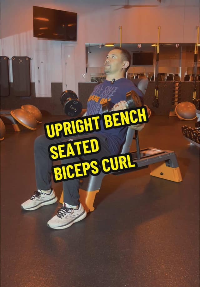 Upright Bench Seated Biceps Curl TikTok preview