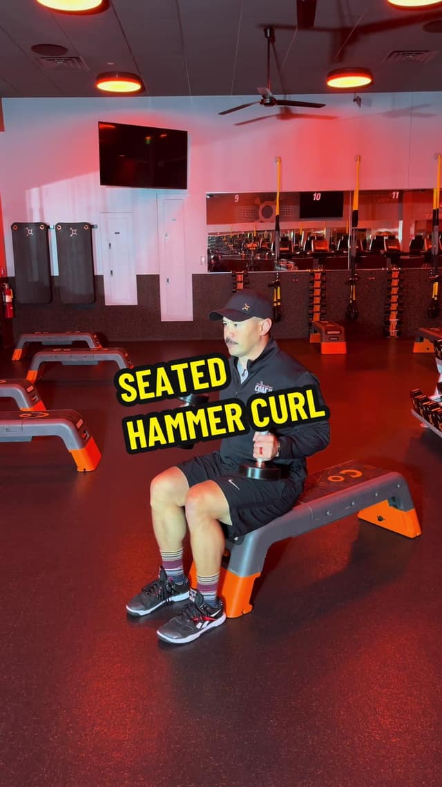 Seated Hammer Curl TikTok preview