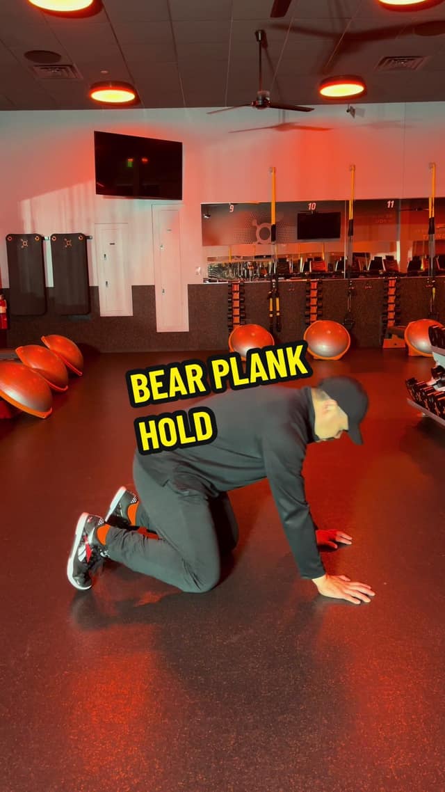 Bear Plank Lever and Bracing Strategy TikTok preview