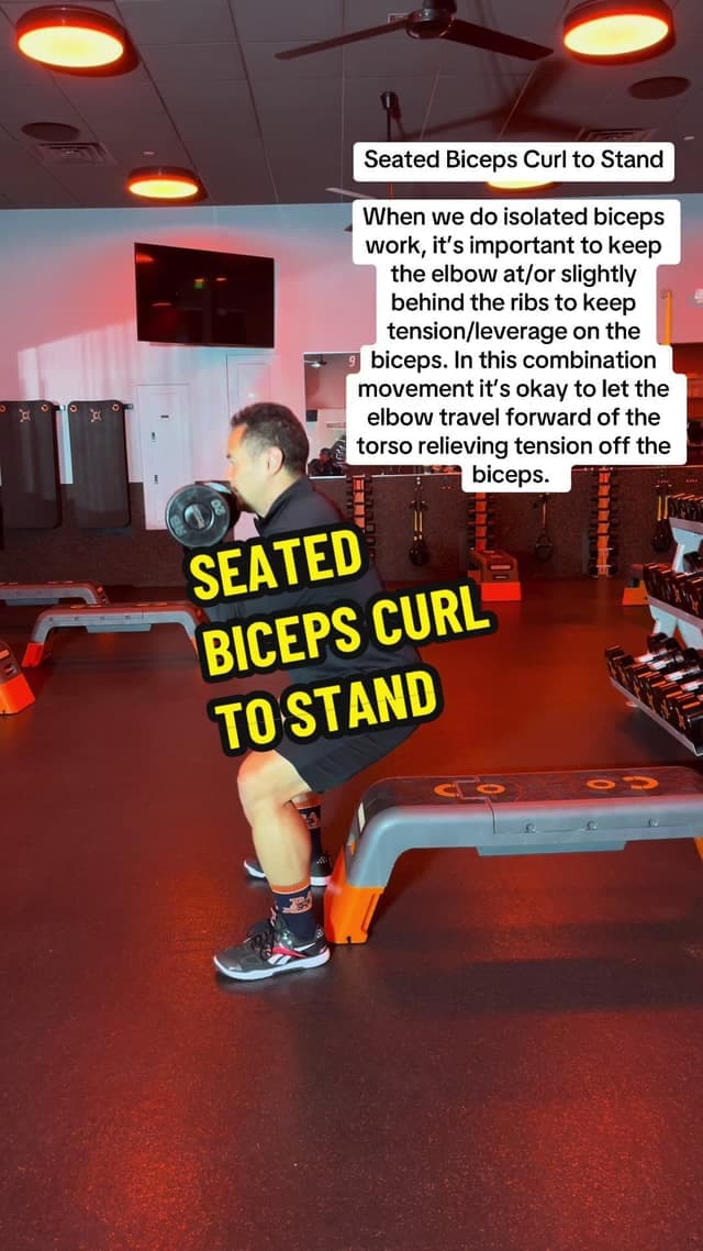 Seated Biceps Curl to Stand TikTok preview