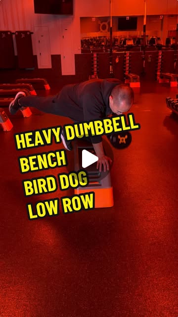 Heavy Dumbbell Bench Bird Dog Low Row | OTF Exercise Directory